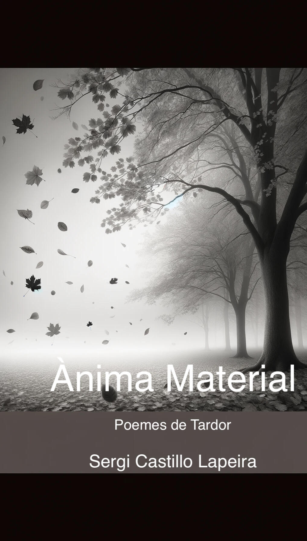 Portada d'Ànima Material
