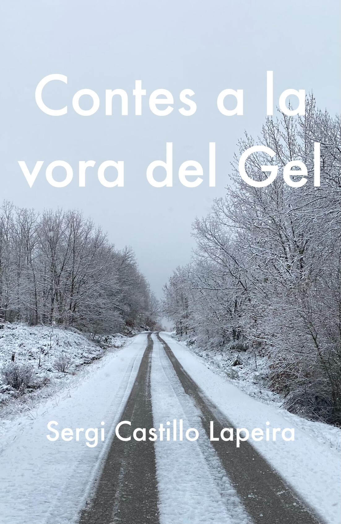 Portada de Contes a la vora del gel